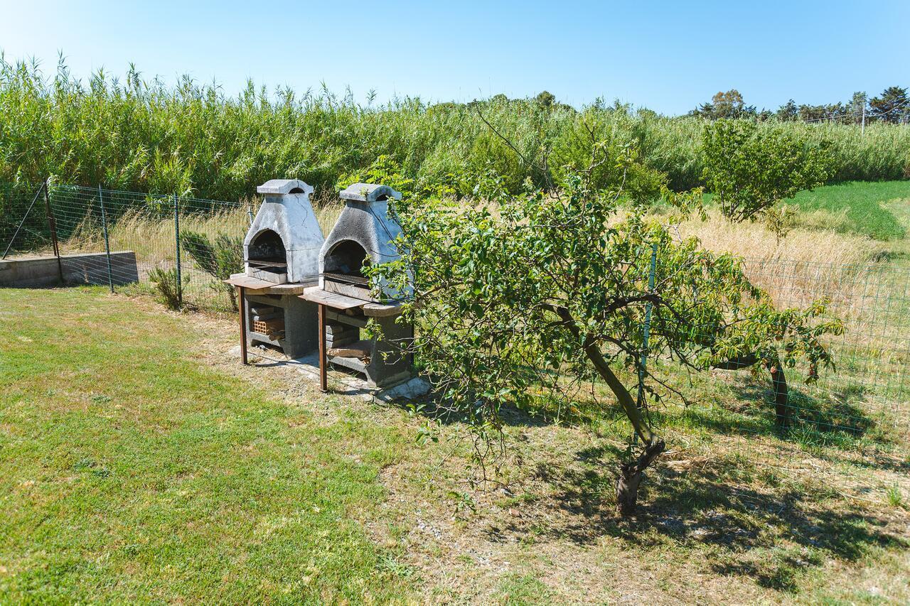 Agriturismo Ferri Bibbona Kültér fotó