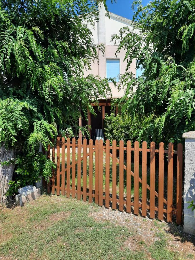 Agriturismo Ferri Bibbona Kültér fotó